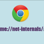 Chrome.//net-internals