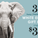White Elephant Gift Ideas $30