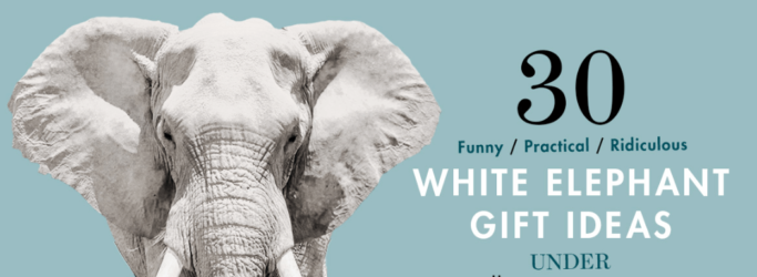 White Elephant Gift Ideas $30