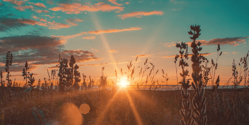 Capturing the Magic of Sunset Landscapes: A Complete Guide