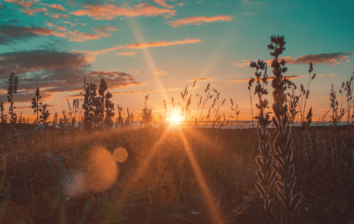 Capturing the Magic of Sunset Landscapes: A Complete Guide